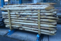 1Kastanienholz_Pfahl_250cm_angespotztori