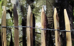 Staketenzaun befestigen Langlebiges Kastanienholz